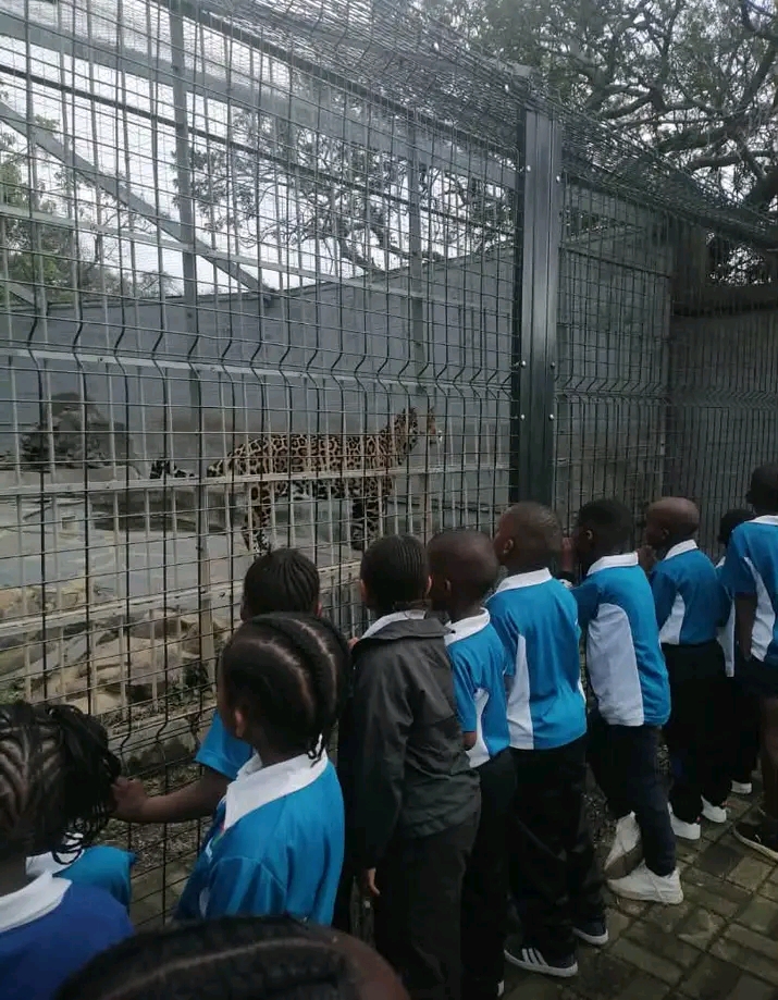 East London Zoo Excursion 7